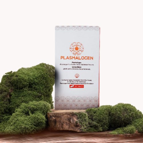 พลาสมาโลเจน PLASMALOGEN ของแท้จากประเทศญี่ปุ่น ร่วมมือกับศูนย์สมอง โรงพยาบาลบีเอ็นเอช - Image 5