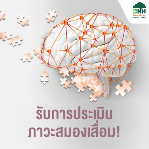 พลาสมาโลเจน PLASMALOGEN ของแท้จากประเทศญี่ปุ่น ร่วมมือกับศูนย์สมอง โรงพยาบาลบีเอ็นเอช - Image 3
