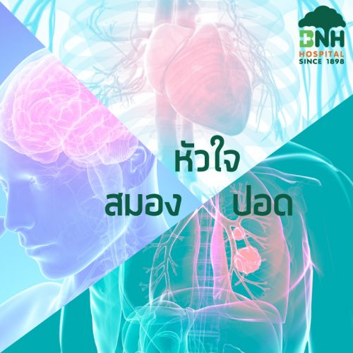 Coronary Artery Disease, Stroke, Lung Cancer Screening package (2C1U) - Image 7
